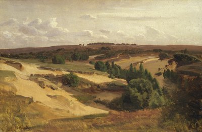 Die Heide bei Bispingen, 1887 von Valentin Ruths